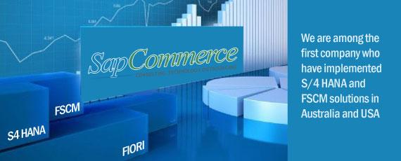 SapCommerce S/4 HANA, FSCM, FIORI